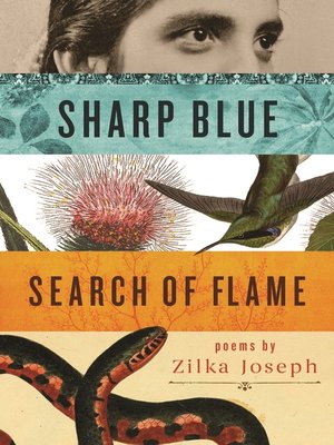 cover image of Sharp Blue Search of Flame